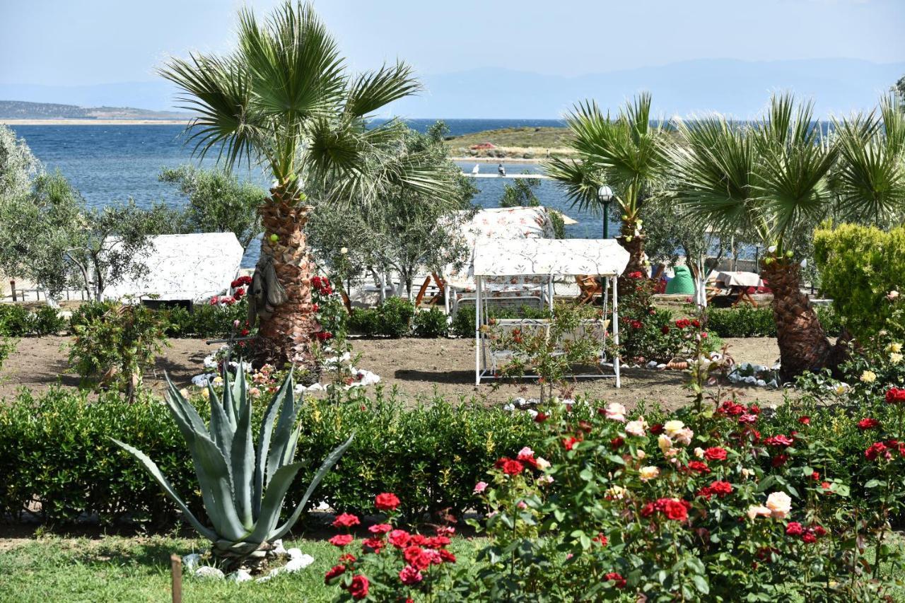Cunda Asiyan Otel Ayvalı Extérieur photo